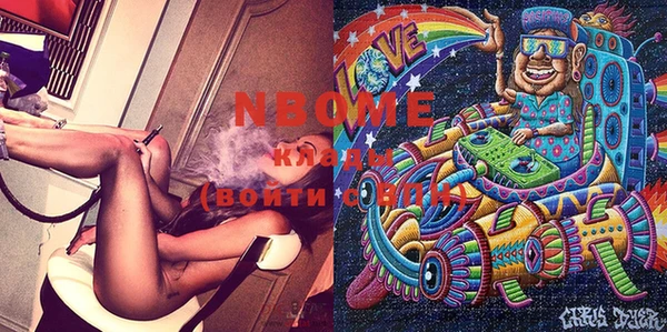 хмурый Алзамай