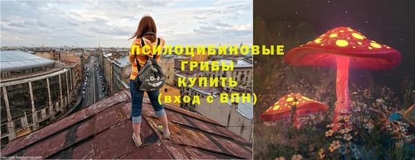 экстази Алексин