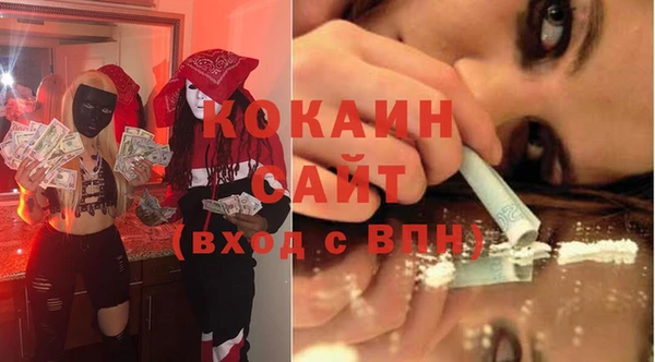 хмурый Алзамай