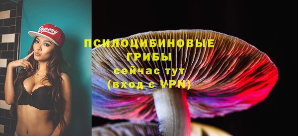экстази Алексин